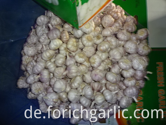 New Crop 2019 Normal White Garlic